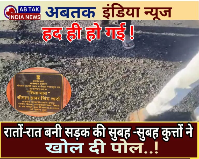 रातों -रात बनी सड़क की  सुबह -सुबह  कुत्तों ने खोली पोल ,UDH मंत्री ने दिए थे सड़क निर्माण के लिए 95 लाख