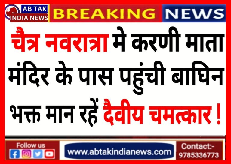 चैत्र नवरात्र में करणी माता मंदिर के पास पहुंची बाघिन, भक्त इसे मान रहे दैवीय घटना !