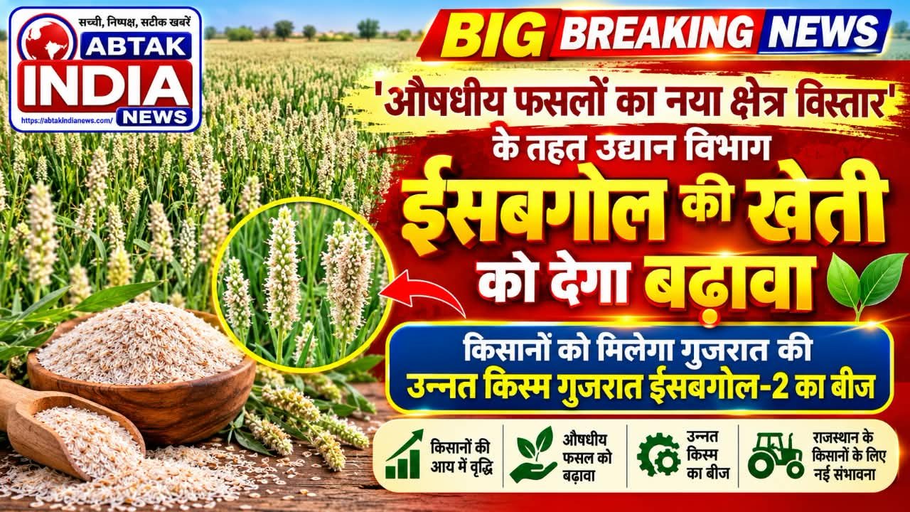 ईसबगोल की खेती को देगा बढ़ावा,
